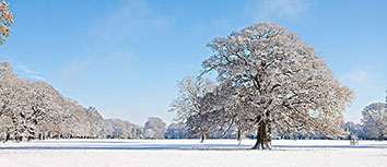 科隆球员状态火爆，备战顶级对手